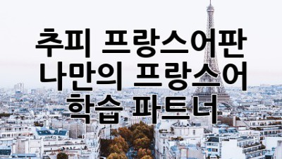 추피 프랑스어판: 나만의 프랑스어 학습 파트너